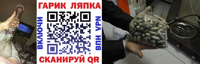 Купить где  Советск  Гашиш индика сатива 