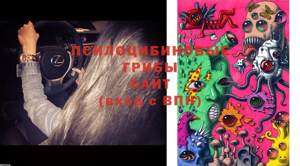 винт Нея