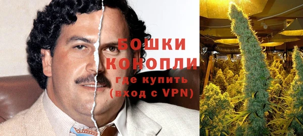 винт Нея