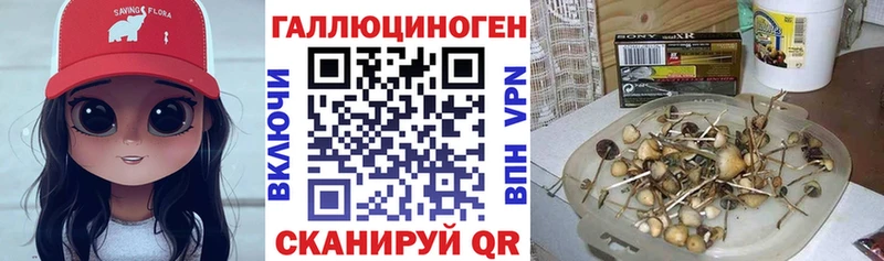 Псилоцибиновые грибы GOLDEN TEACHER  Купить закладки  Советск 